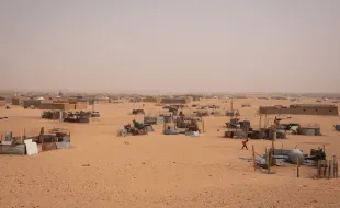 Saharawi. Oltre l'attesa