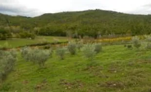 Coltivazioni_2