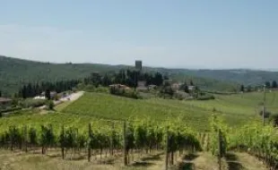 Badia a Passignano_panorama
