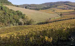 Badia area protetta_immagine