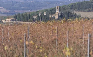 Abbazia_veduta