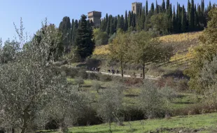 Abbazia Torre_veduta