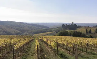 Badia Vigne e Abbazia_veduta