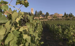Badia area protetta_immagine11