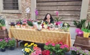 Barberino in fiore