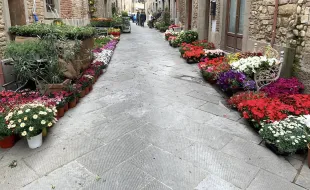Barberino in fiore