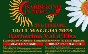barberino in fiore_banner