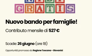 Nidi gratis 2025