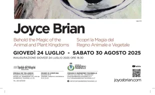 Locandina mostra Joyce Brian