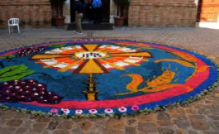 L'Infiorata a San Donato in Poggio