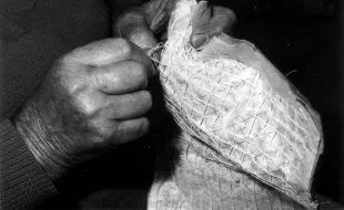 Il punto di Tavarnelle