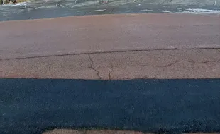 Rami di pino a terra causa neve