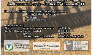 Locandina Cercando Bellezza 