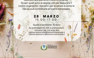 Locandina Rifiorire in Primavera