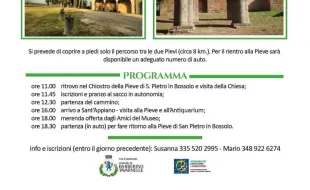 Locandina di Piviere in Piviere