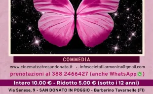 Locandina la Signorina Papillon