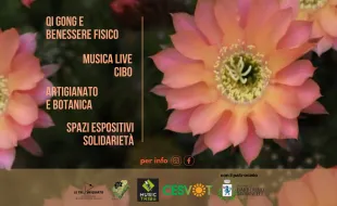 Locandina festa di primavera
