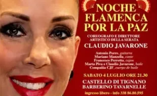 Locandina Noche Flamenca por la Paz