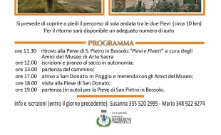Locandina di Piviere in piviere 20/09