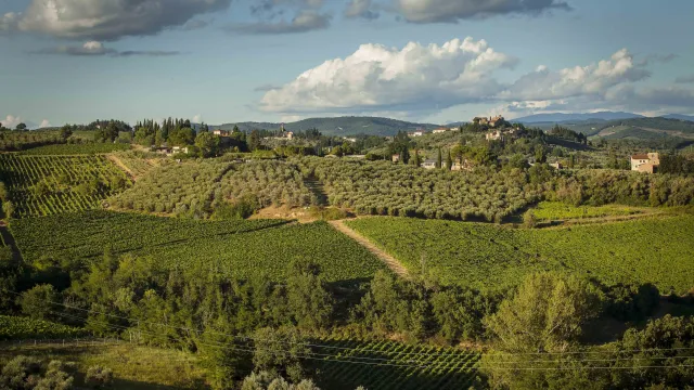 foto chianti