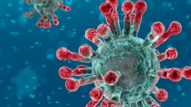 coronavirus