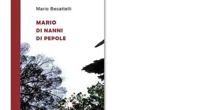 banner mario di nanni di pepole