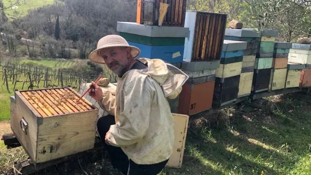 Foto apicoltore - Piantiamo fiori