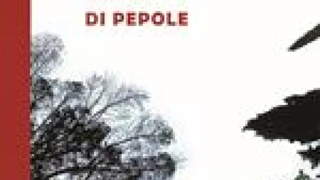 copertina libro mario di nanni di pepole
