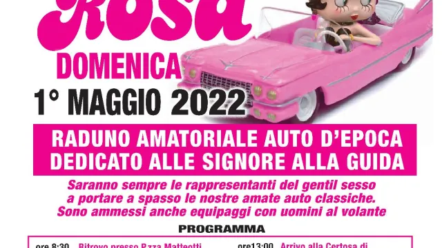 Locandina 50 sfumature di rosa