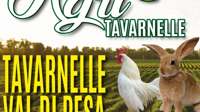 banner agri tavarnelle