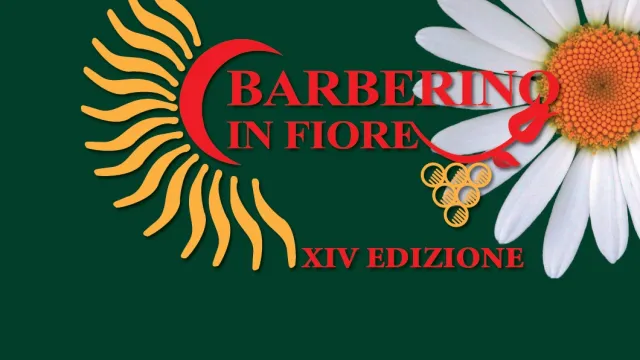 logo barberino in fiore