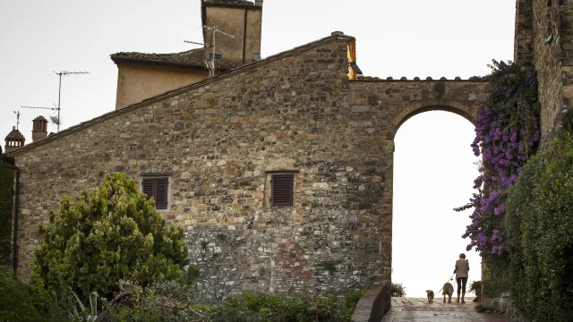 tignano