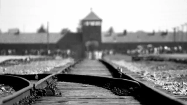 immagine settimana della memoria