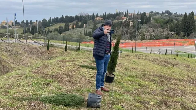 immagine cipressi area Bustecca