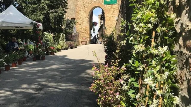 immagine Barberino in fiore