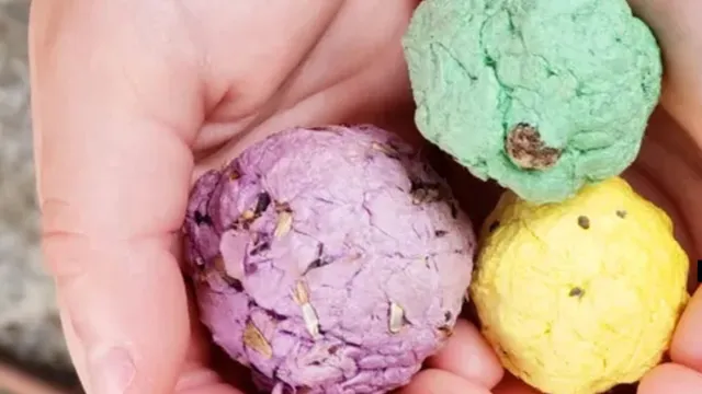 bombe di semi