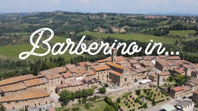 immagine Barberino in...2023