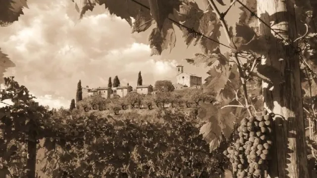 Foto itinerari vocali nel Chianti