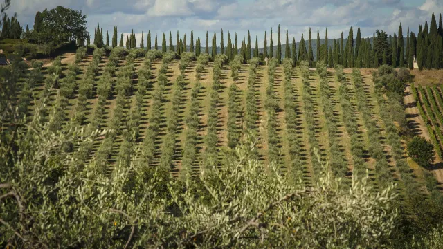 foto territorio