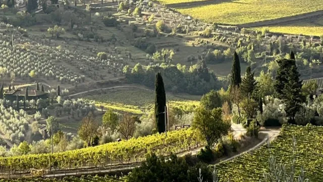 immagine territorio chianti classico