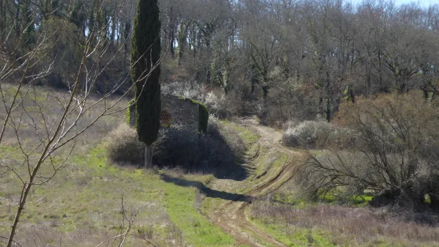immagine Via Romea Senese