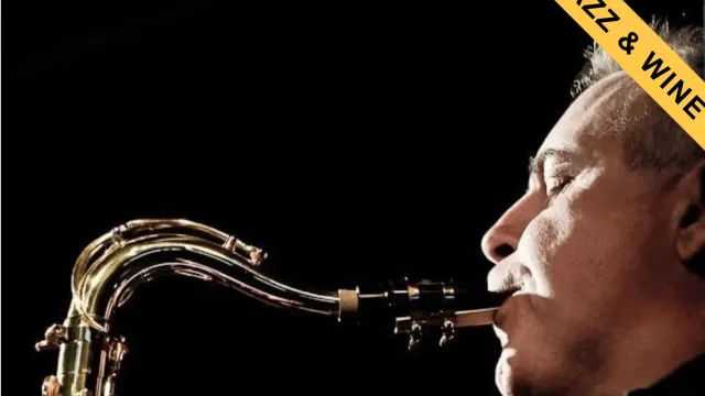 immagine concerto