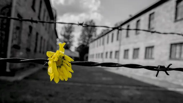 immagine 27 gennaio giorno della memoria