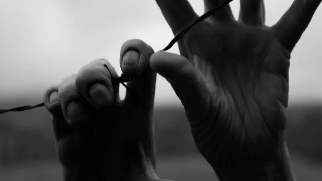 immagine Settimana della Memoria