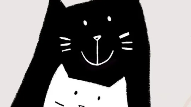 gatto  nero gatta bianca_banner