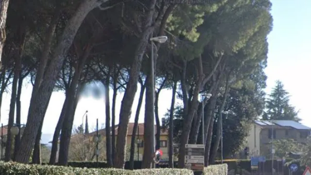 Pineta Tavarnelle