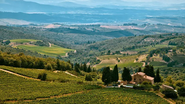 immagine paesaggio