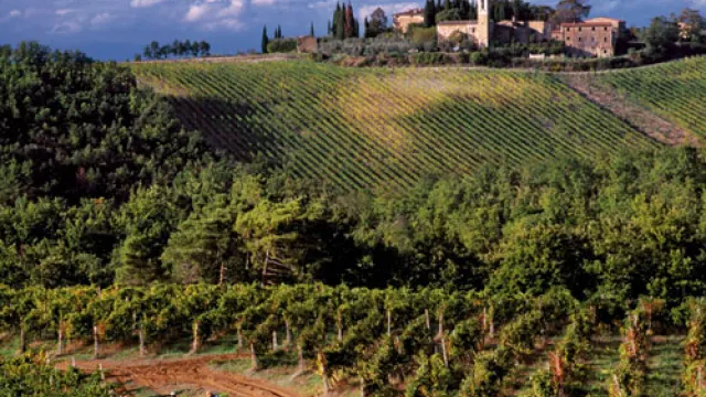 Agricoltura - Isole Olena