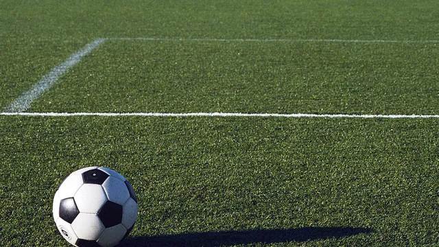 Campo calcio