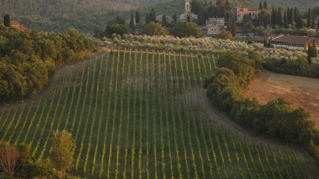 immagine territorio